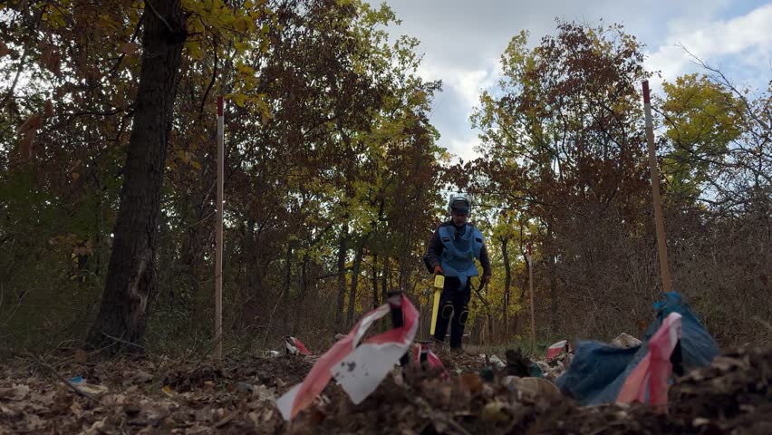Mykolaiv, Ukraine – October 20, 2024 – A humanitarian deminer in full protective gear — ballistic visor, blue body armor, and knee pads — sweeps the autumn forest floor with a handheld yellow mine detector during clearance operations. Red and white marker poles and torn hazard tape define the working lane through fallen oak leaves. A powerful editorial visual of dangerous, painstaking humanitarian mine action in a postconflict landscape