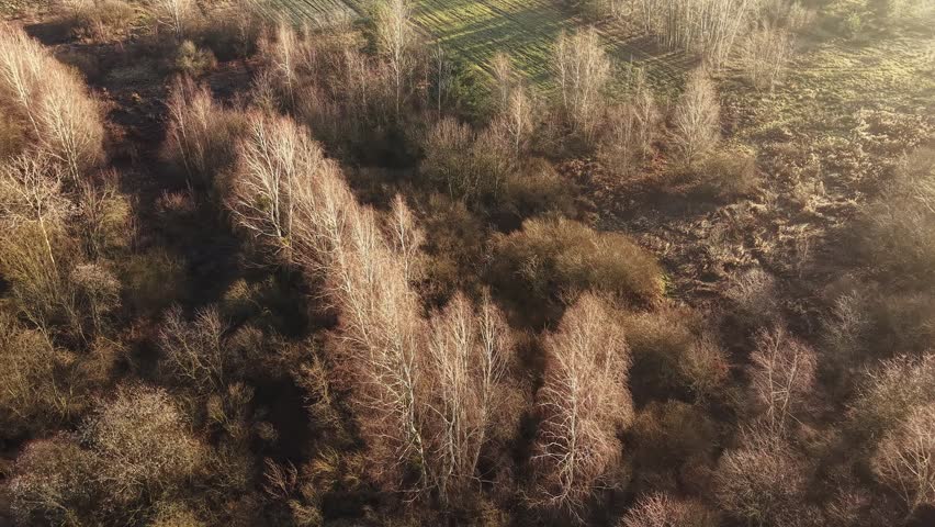 Beautiful vast landscape with trees and fields