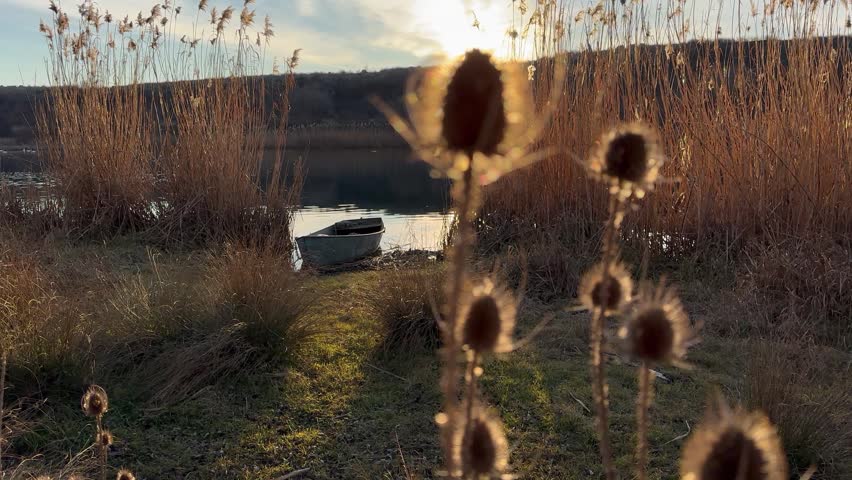 Backlit teasel seedheads glow at the edge of a still lake as the setting sun breaks through tall dry reeds, scattering warm lens flare across the frame. A slow rack focus shifts from the spiky, sunlit texture in the foreground to an old wooden rowboat resting on the shore, then out to calm water and silhouetted hills beyond. Golden evening light and a grassy path complete this tranquil autumn wetland scene, well suited to travel, nature, and countryside destination content