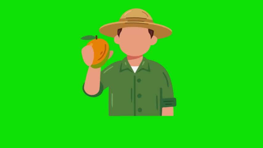 A male fruit farmer is carrying mangoes. Green background.