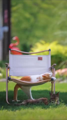 Two cats lounging on and under a lawn chair in a grassy area