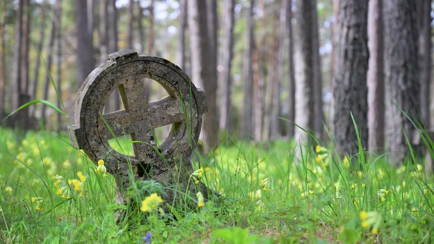 Old cross grave marker in a historic cemetery on the island of Vormsi, Estonia. Lush green grass and yellow wildflowers grow