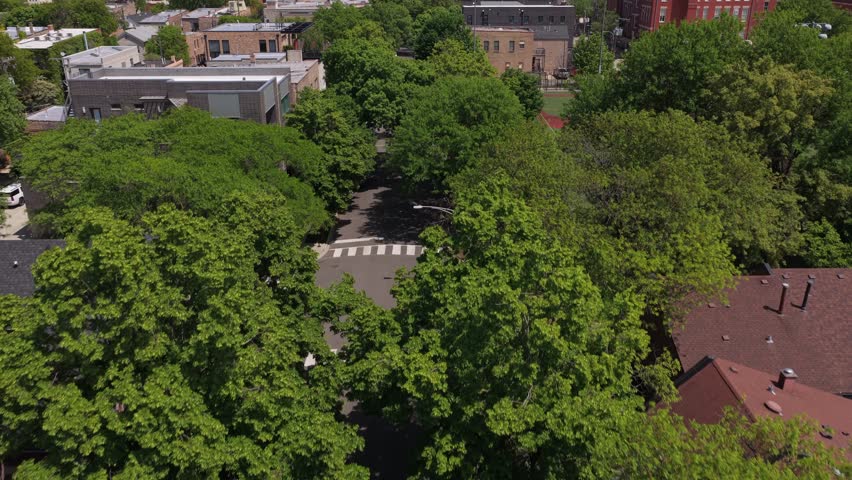 Cinematic forward aerial revealing the Chicago skyline behind a tree lined street in a quiet residential neighborhood with a baseball field on a bright summer afternoon