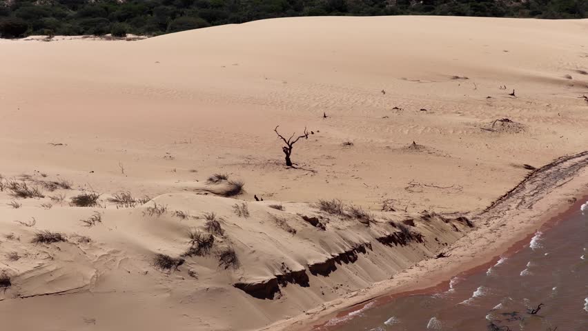 Dunes Of Old Chico In Casa Nova Bahia Brazil. Sand Dunes And Lagoons Forming During The Rainy Season. Wildlife Eco Tourism. Amazon Forest. Casa Nova Bahia.