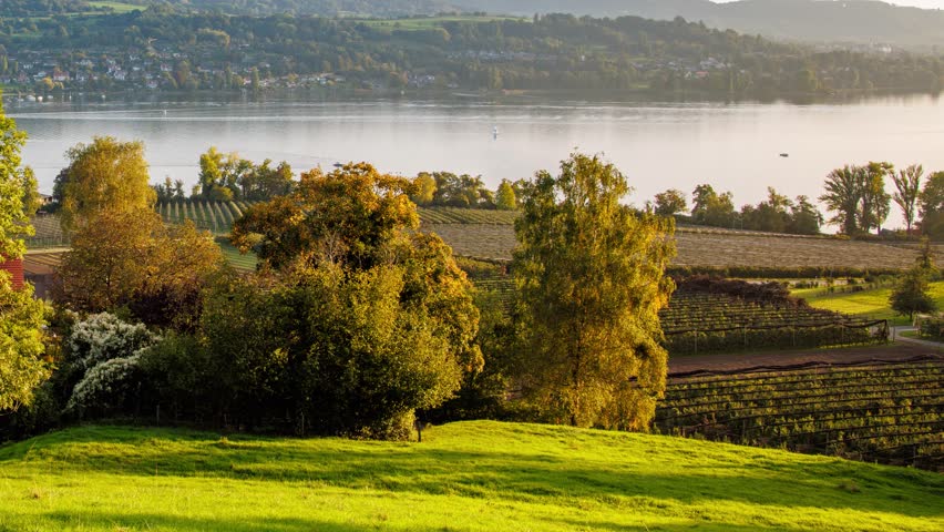 Beautiful 4K UHD Time-lapse of Sunlight and Shadows Over Lakeside Vineyards