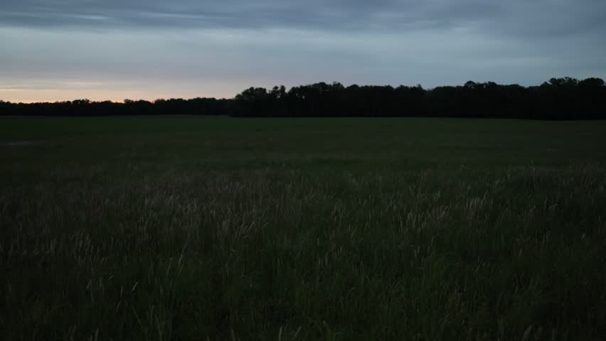 Dark grassy field at dusk with a tree line on the horizon under a cloudy evening sky. Quiet rural landscape with open space, low light, and a calm natural mood.