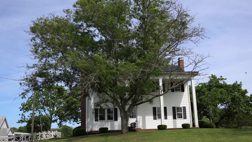 White country farmhouse partly hidden by a large leafy tree on a grassy yard under a blue sky, creating a calm rural home scene.