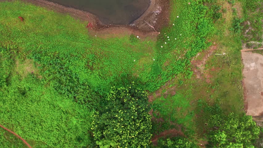 Views of Kim Long in Ho Chi Minh show a river landscape with green fields and pathways. Trees and houses are visible along the water. The weather appears cloudy and calm.