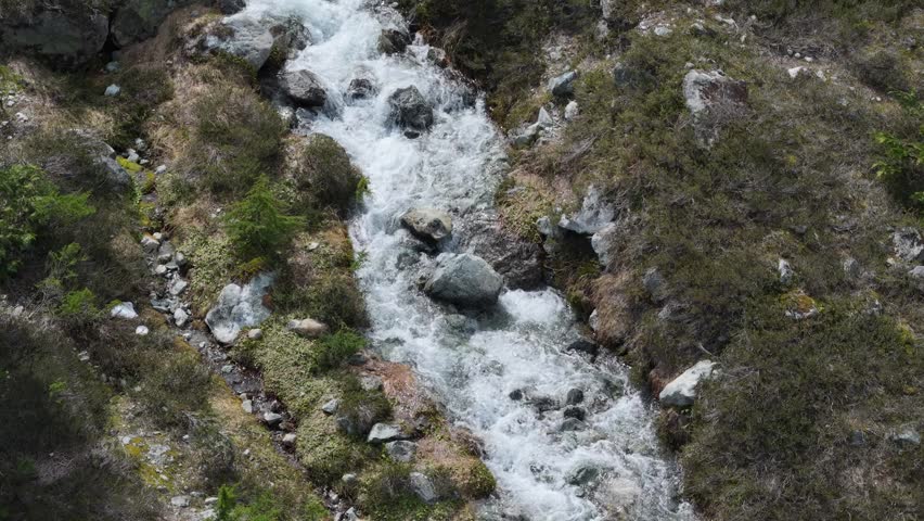 Clear Mountain Stream Flowing Through Rocks and Greenery in British Columbia, Canada