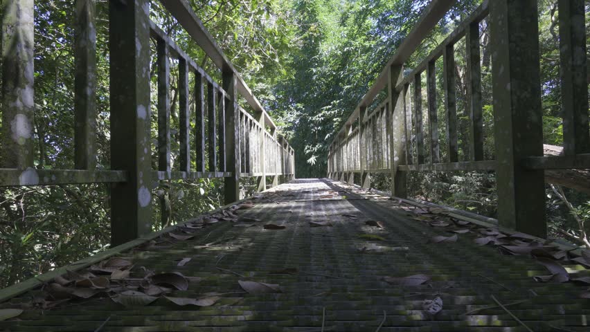A small iron bridge in the mountain forest
