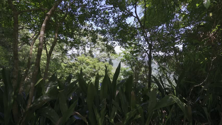 Side view of Mount Liuyi hiking trail