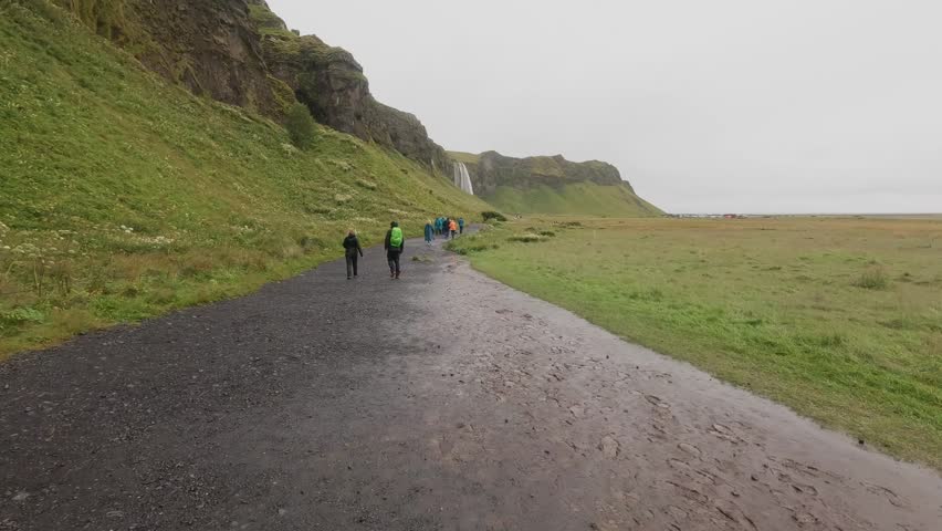 A rear view of tourists walking on a road leading to Skogafoss Waterfall in Iceland, surrounded by greenery on overcast rainy summer day