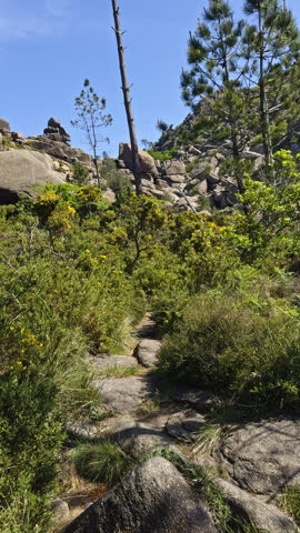 A narrow hiking trail winds through granite rocks and dense shrubs on a rocky hillside. The scene shows rugged mountain terrain with native vegetation and clear blue sky.