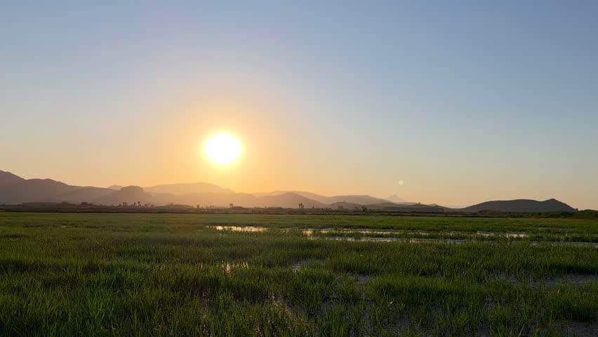 Time-lapse of a beautiful sunset over green rice fields in Spain, moving into a colorful twilight sky with mountain silhouettes and water reflections.