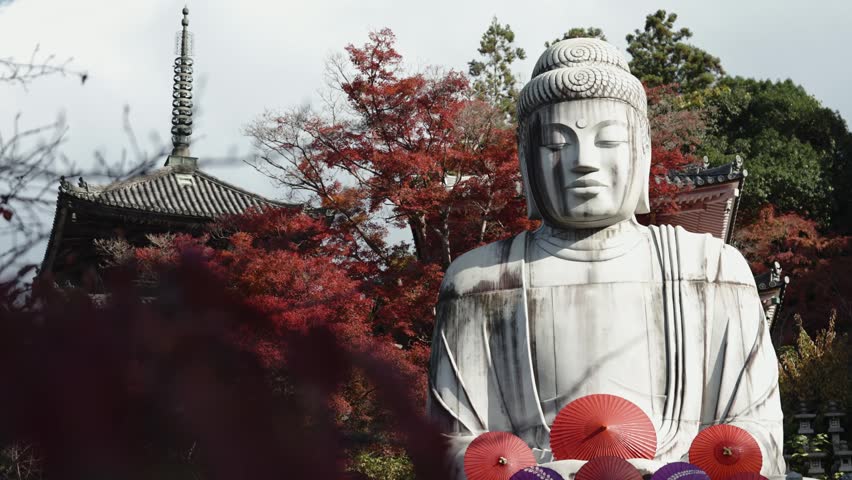 Giant Buddha Statue Surrounded by Autumn Foliage at Tsubosakadera Temple, Japan