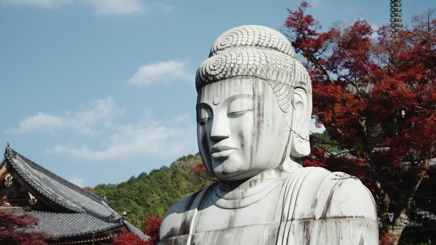 Giant Buddha Statue Surrounded by Autumn Foliage at Tsubosakadera Temple, Japan