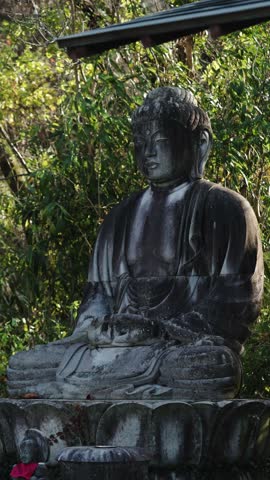 Giant Buddha Statue Surrounded by Autumn Foliage at Tsubosakadera Temple, Japan