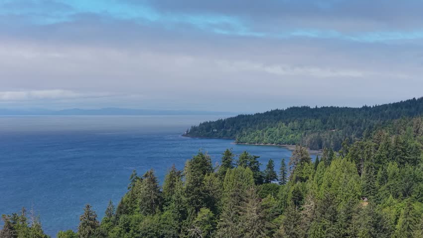 Majestic Vancouver Island Coastline: Evergreen Forests Meet the Pacific Ocean in British Columbia, Canada