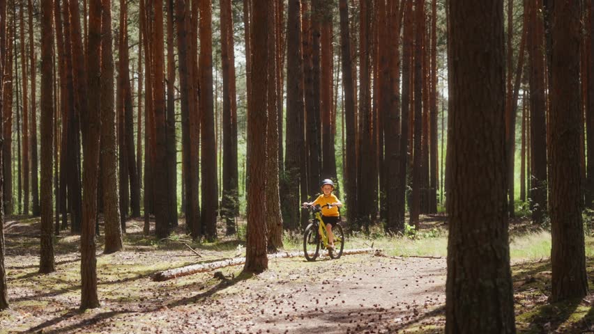 Slow motion shot of an eight year old boy riding a bicycle from distance toward the camera through a sunny pine forest, showing active childhood and outdoor summer sport. High quality 4k footage