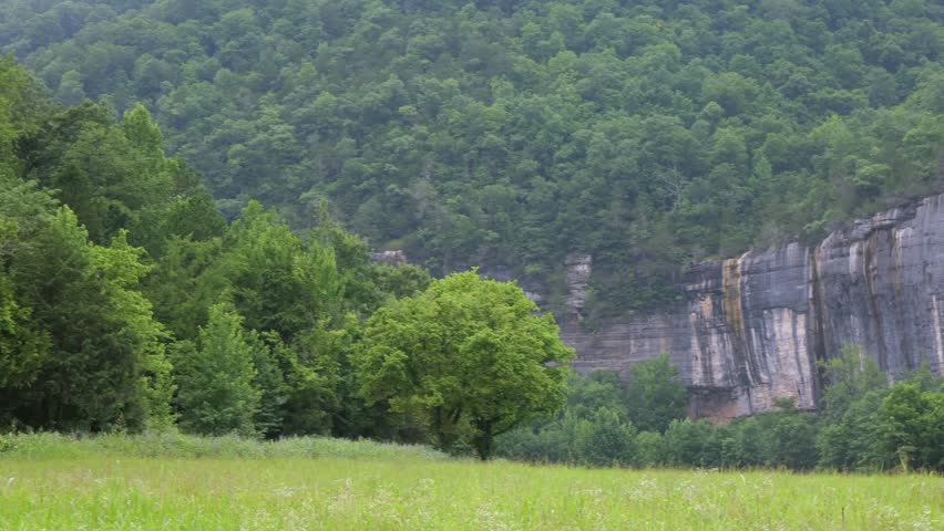 A towering limestone rock bluff face rises above a lush green forest and meadow, showcasing a dramatic wilderness landscape on a summer day