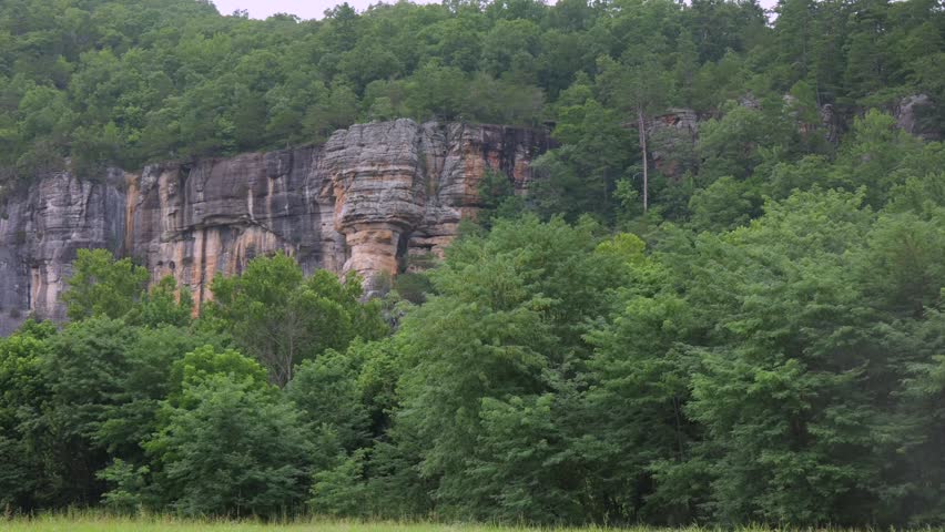 A towering limestone rock bluff face rises above a lush green forest and meadow, showcasing a dramatic wilderness landscape on a summer day