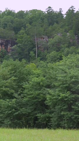 A towering limestone rock bluff face rises above a lush green forest and meadow, showcasing a dramatic wilderness landscape on a summer day