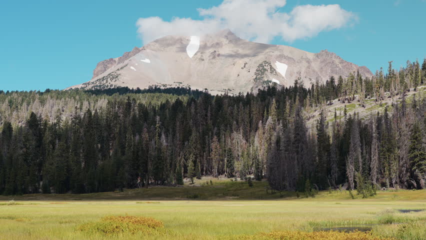 Mt. Helen Peak, Pine Tree Forest And Kings Creek Meadow in Lassen Volcanic National Park, California, USA. - wide shot