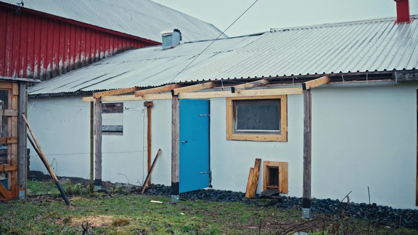 The Chickens Come Out of the Small Shed and Move Freely Around the Yard Near the House - Static Shot