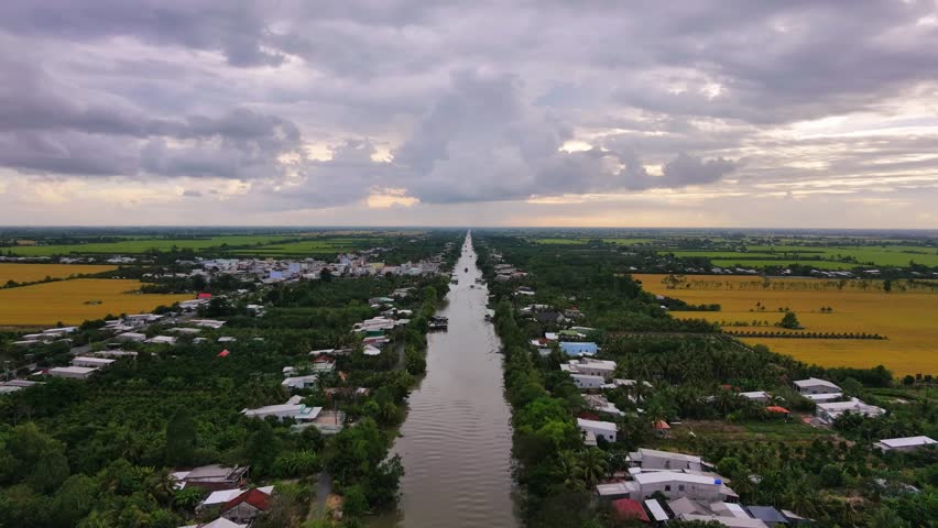 The drone performs a smooth descending movement (crane down) from a high altitude, lowering towards a long, perfectly straight river canal. A traditional cargo boat covered with a green tarp is seen moving away down the river. The panoramic landscape reveals local houses nestled among dense green trees along the banks, flanked by yellow rice fields under a vast, dramatic sunset sky filled with heavy storm clouds.