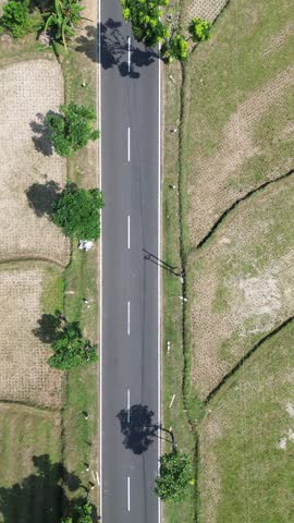 Top Down Aerial View of Straight Road with Tree Shadows Through Rural Fields