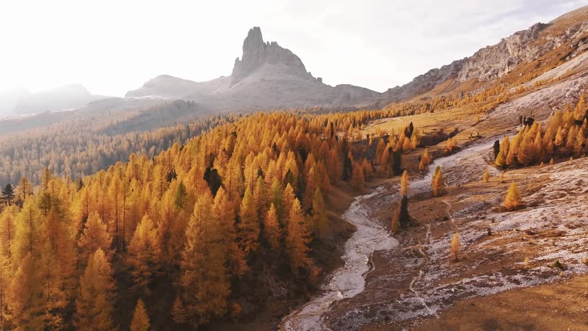 Picturesque yellow larches orange colored. Croda da Lago mountain at background, majestic landscape at autumn time.