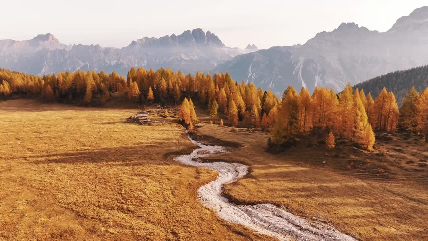 Picturesque yellow larches orange colored. Croda da Lago mountain at background, majestic landscape at autumn time.