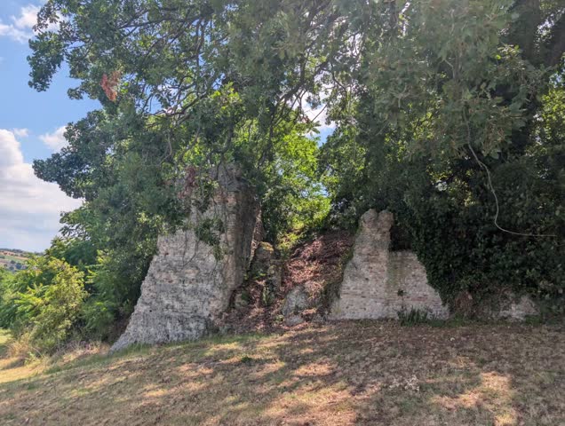 the suggestive fortified Roman walls of the ancient colony of Urbs Salvia, partially surrounded by spontaneous vegetation within the Urbisaglia Archaeological Park