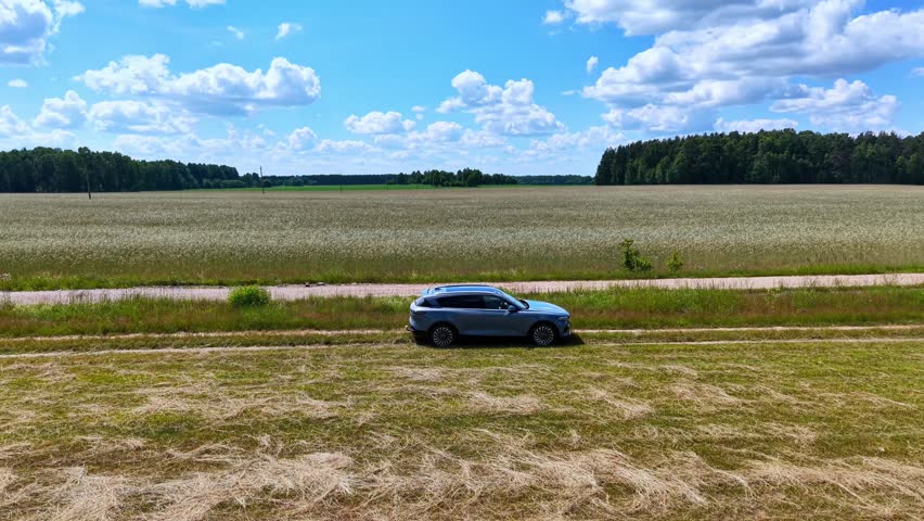 Blue SUV parked on grassy roadside next to expansive green field under blue sky