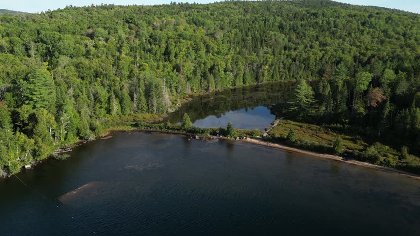 Aerial View of a Marsh Pond Hidden Within a Quebec Forest - Drone footage reveals a small, still wetland pond tucked between dense evergreen forest and a larger lake shoreline in Quebec, Canada.