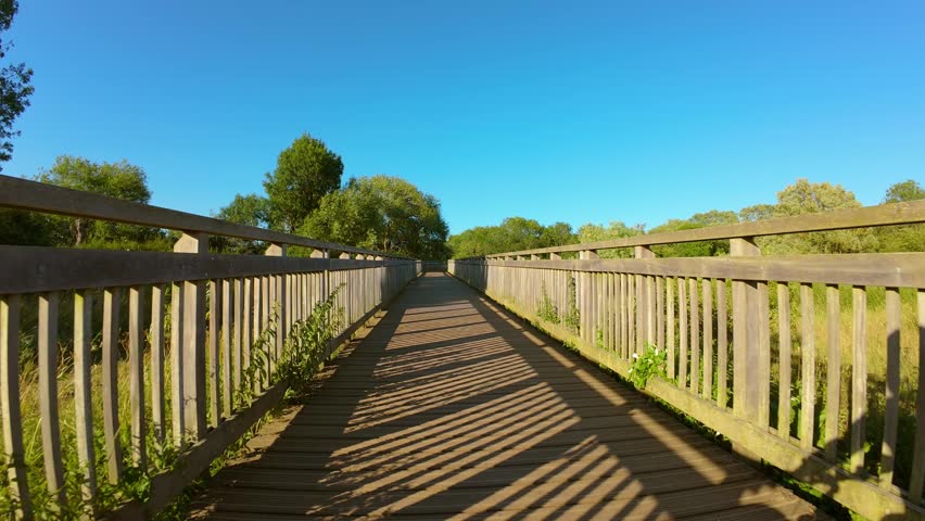 Wooden pedestrian bridge across natural wetland reserve. Symmetrical timber boardwalk with long geometric shadows beneath bright summer sky and lush green surroundings. Eco tourism park infrastructure