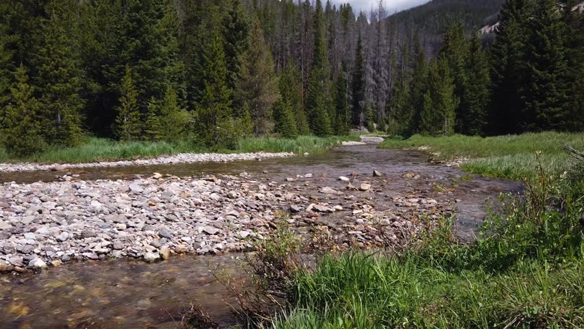 The Colorado River at the Lulu City site, near the headwaters surrounded by forests in Rocky Mountain National Park, Colorado