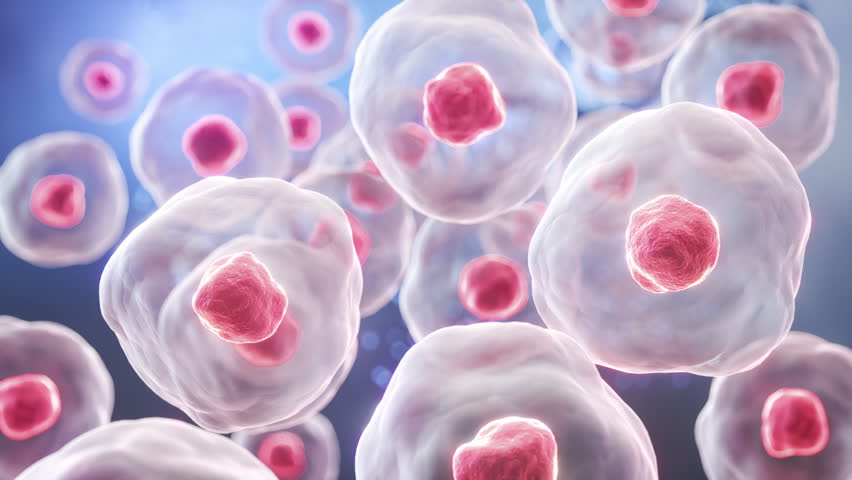Human cells with rotating DNA strands. Applications include biotechnology, genetic research, molecular biology, and medical science.