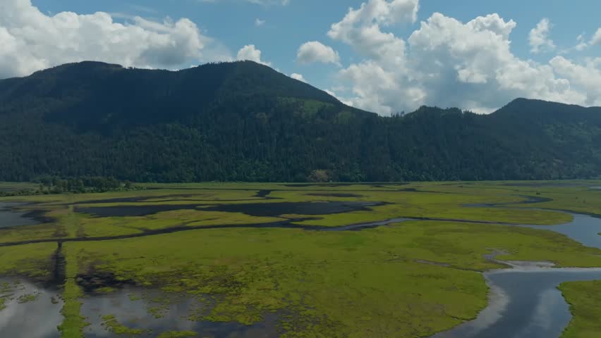 A drone pullback over a vast green marshland with mountain under partly cloudy sky