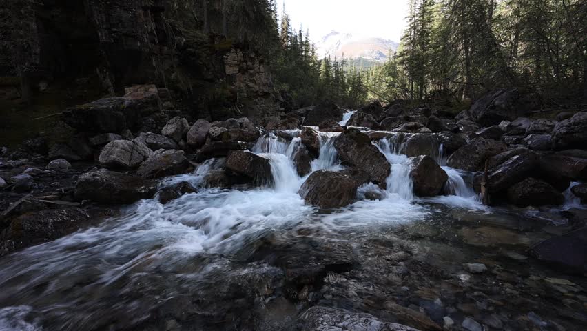 Scenic view hiking along the Miette Hot Springs Trail, showcasing dense green forests, rugged mountain terrain, and pristine wilderness in Jasper National Park, Alberta.