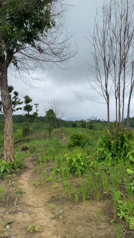 Green hills, cloudy sky, people walking, rural path, nature.