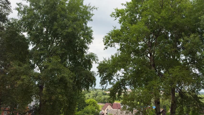 Two large green trees framing view of residential area with houses. Suburban landscape with foliage, cloudy sky, nature and homes, summer scenery.