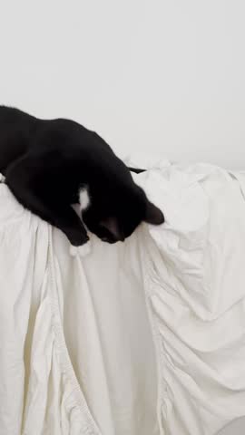 Black and white cat seen from behind, climbing over or sitting on top of a pile of white laundry or fabric draped over basket