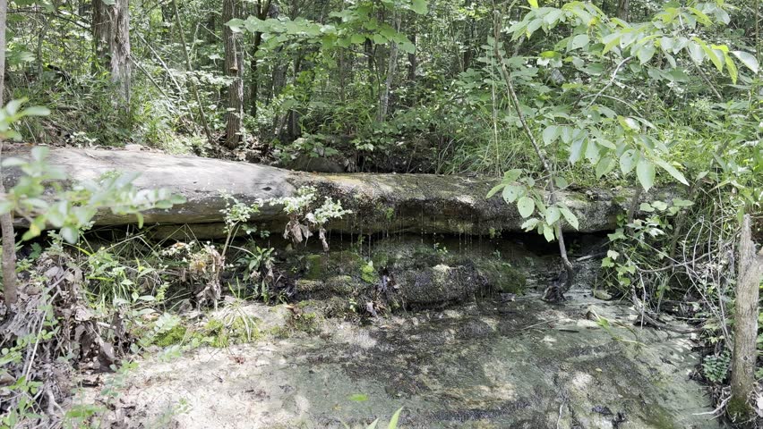Rugged, dry rocky Arkansas creek bed surrounded by dense green forest foliage and towering limestone bluff walls along a wilderness hiking trail