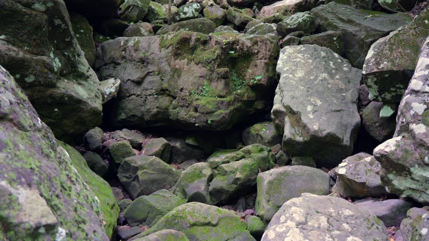 Rugged, dry rocky Arkansas creek bed surrounded by dense green forest foliage and towering limestone bluff walls along a wilderness hiking trail