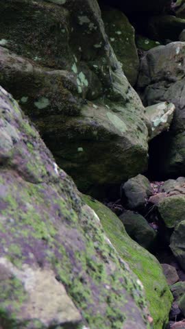 Rugged, dry rocky Arkansas creek bed surrounded by dense green forest foliage and towering limestone bluff walls along a wilderness hiking trail