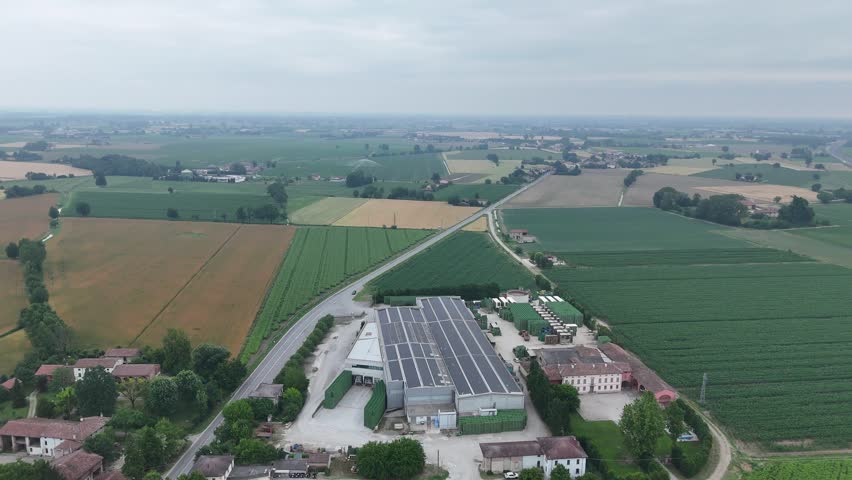 Summer farmland beside the A21 motorway near the Lombardy–Emilia-Romagna border, Piacenza, Italy, showing irrigated maize, mature cereal fields and intensive agriculture across Po Valley, slow pan