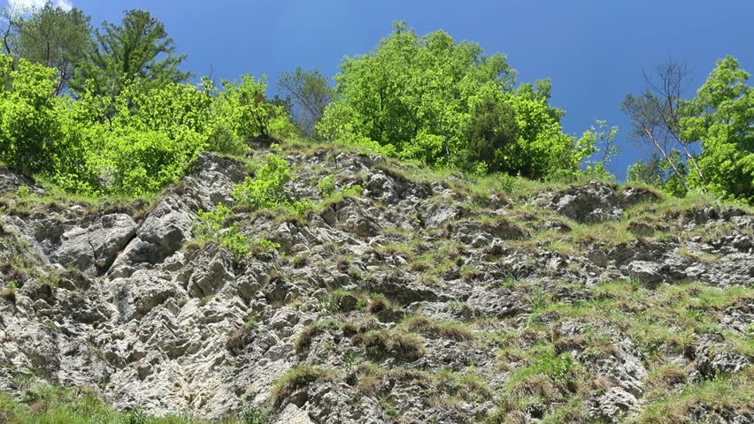 A steep, rugged mountain cliff face with textured grey rock and patches of grass, crowned with vibrant green deciduous and coniferous trees, set against a bright clear blue summer sky.