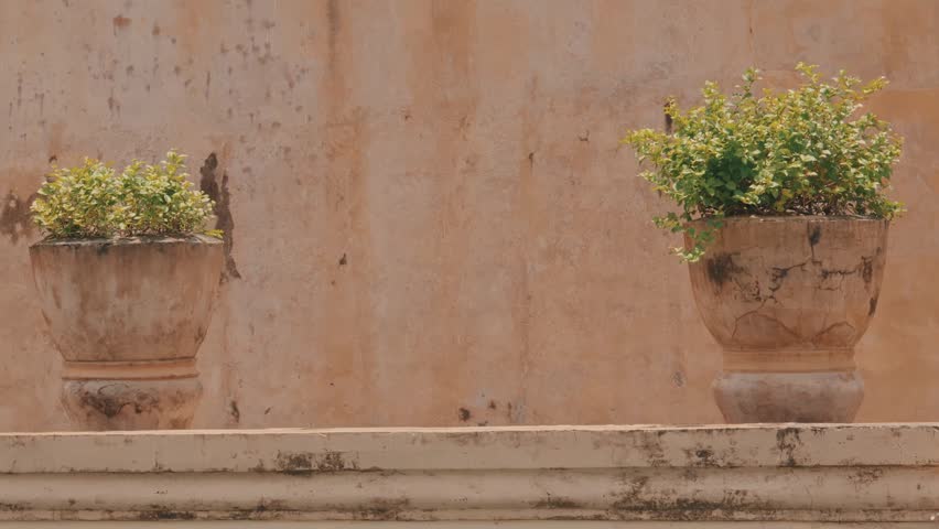 A pair of weathered stone urns holding blooming green plants sits atop a rustic, textured wall against a soft-focus architectural background, evoking a serene, heritage aesthetic.