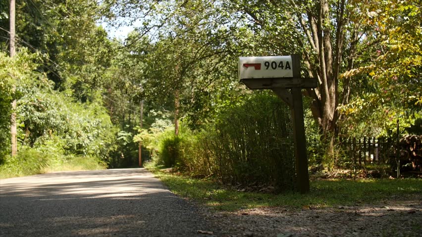 White mailbox with red flag sits on a weathered wooden post beside a quiet country road. Sunlight filters through dense green foliage, casting dappled shadows across the asphalt and grass.